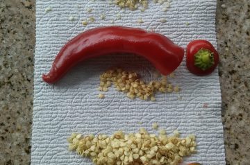 Fabulous Wet Burritos