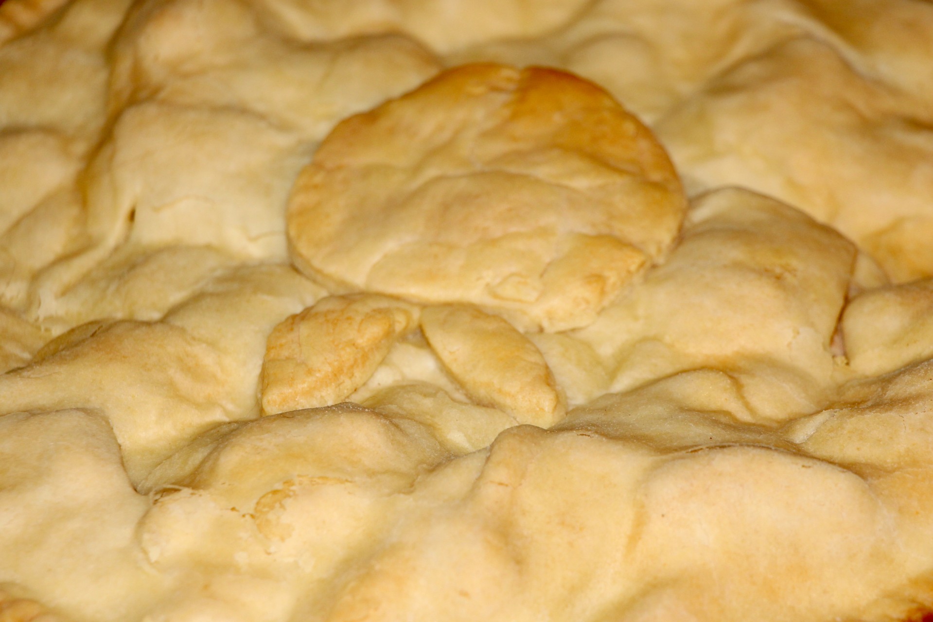 Cornmeal Pie Crust