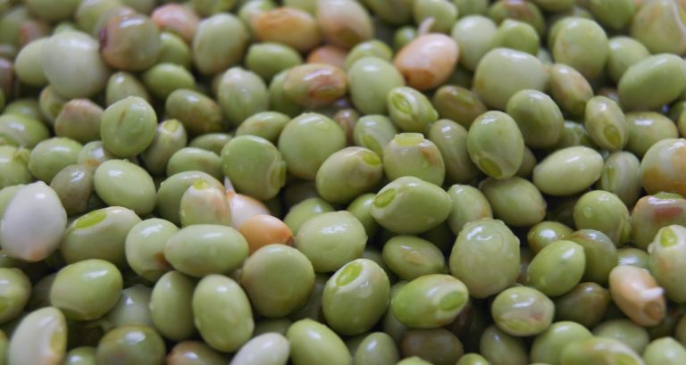 Mbaazi Wa Nazi (Pigeon Peas in Coconut Milk)