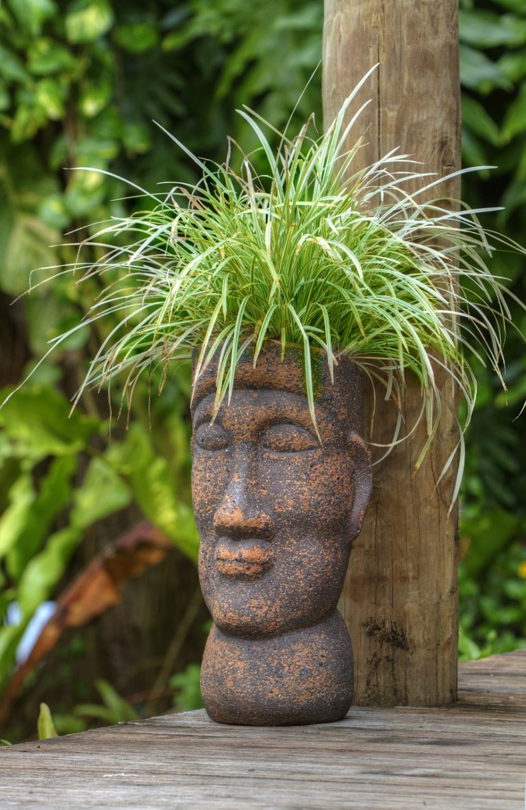Polynesian Pot Roast
