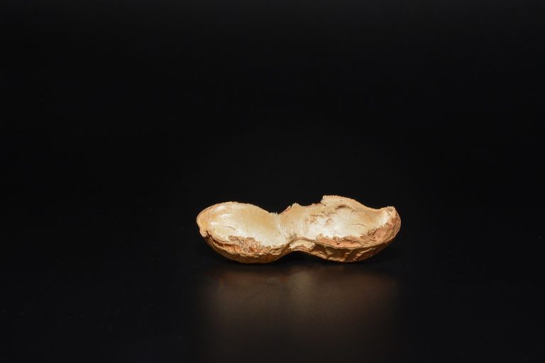 Pork With Peanut
