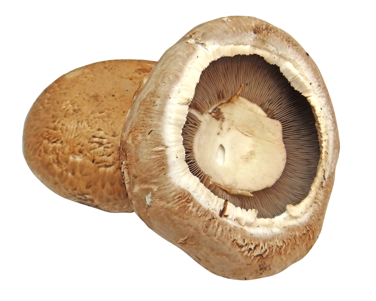 Portabella Mushroom Fajitas