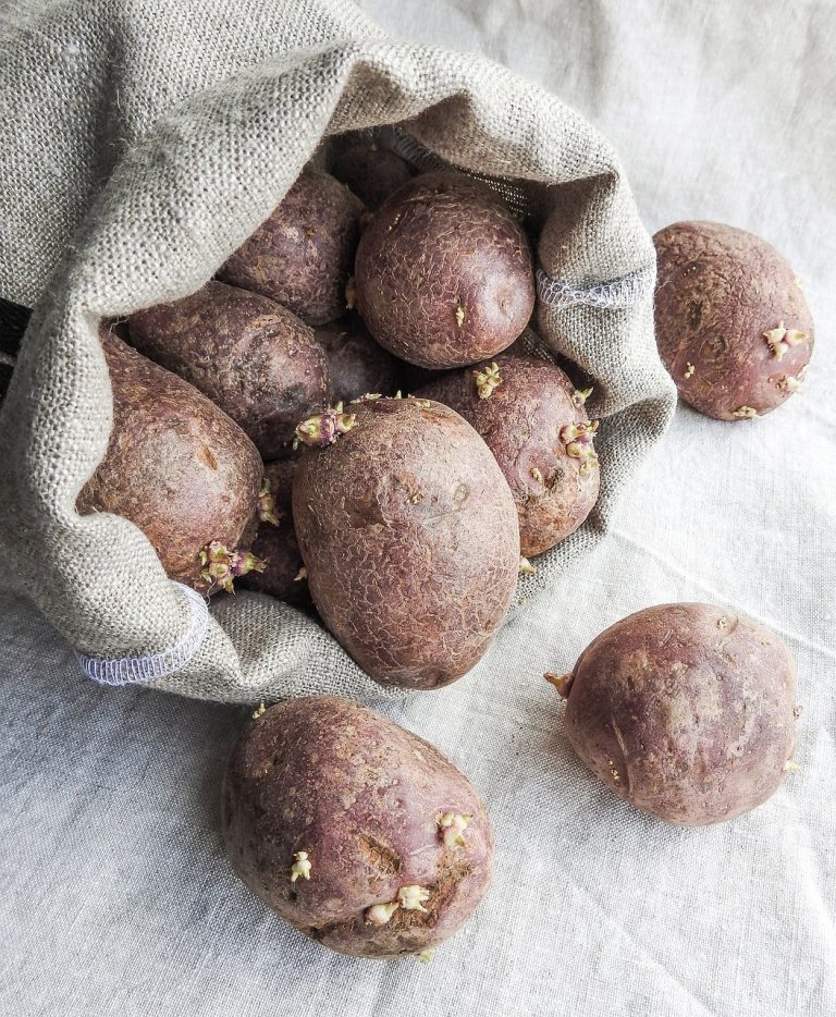 Root Vegetable Fritters