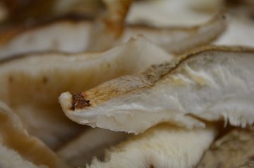 Potatoes With Shiitake Mushrooms and Brie