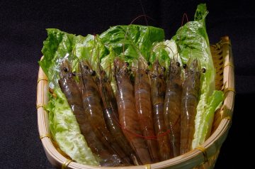 Shrimp in White Wine