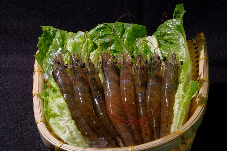 Shrimp in White Wine
