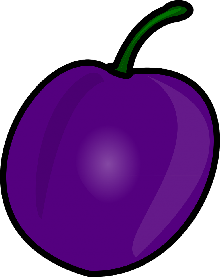 Plum and Prune Smoothie