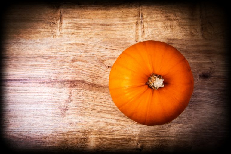 Pumpkin Bars
