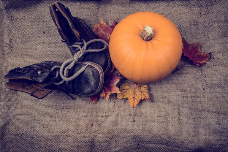Pumpkin Dessert