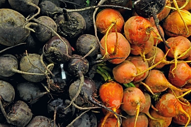 Puree of Three Root Vegetables