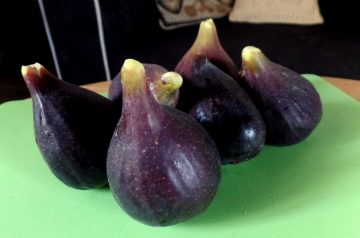Pyrenees-style roasted figs