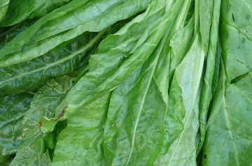 Quick Spinach