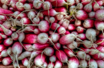 Glazed Radishes