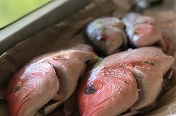 Red Snapper in Wine Sauce
