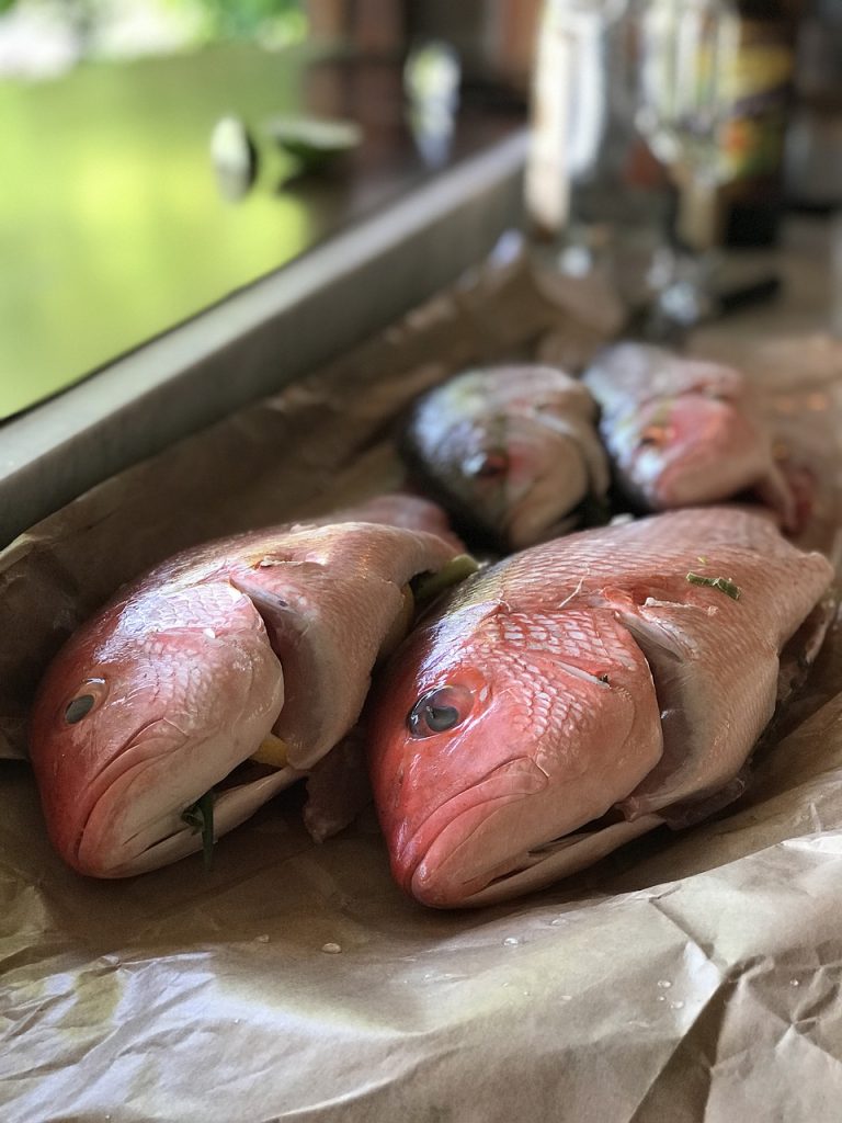 Red Snapper Parmigiana