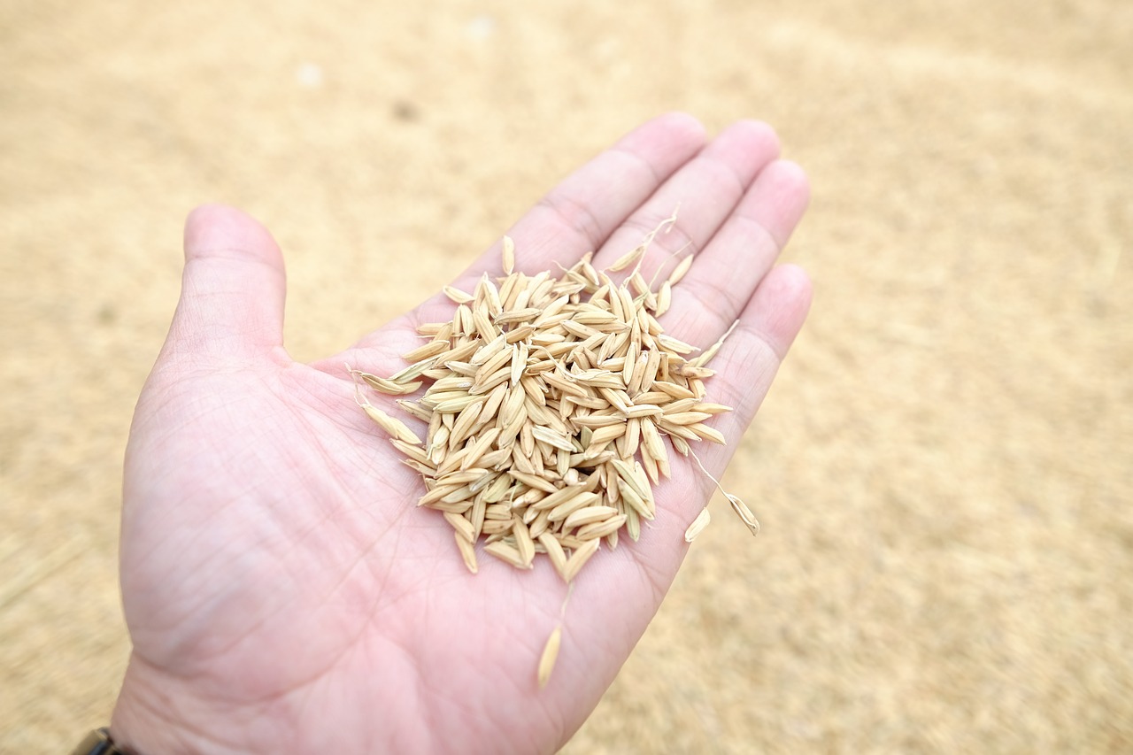 Jasmine Rice With Peanuts and Scallions