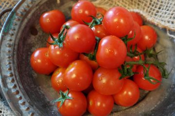 Roast Tomato Salad