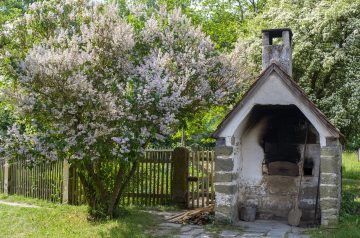 Roasted Chestnuts Oven or Stove Top