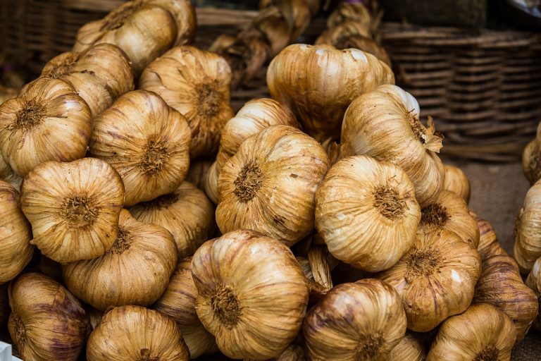 Roasted Garlic Pasta