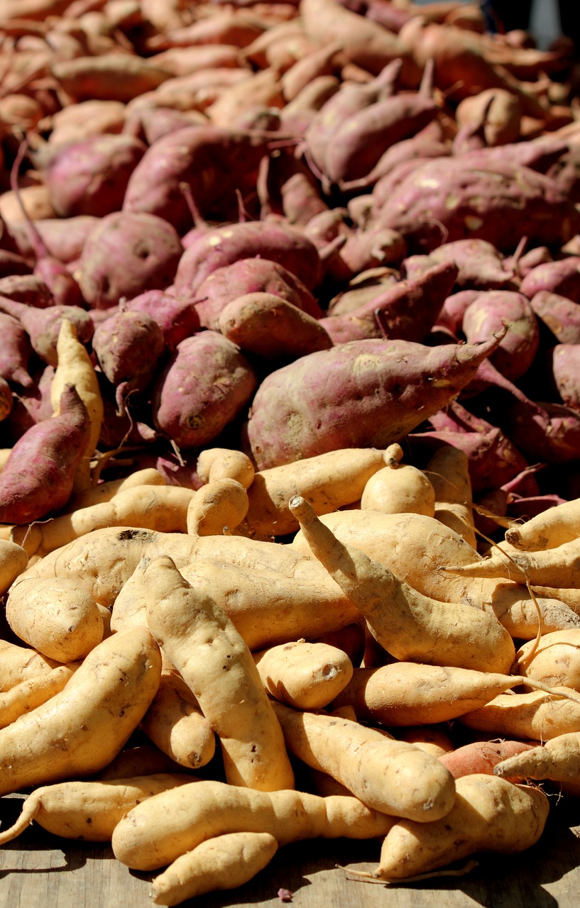 Roasted Sweet Potato Fries or Rounds