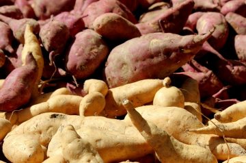 Roasted Sweet Potato Sticks