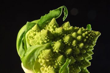 Broccoli and Cauliflower Gratin