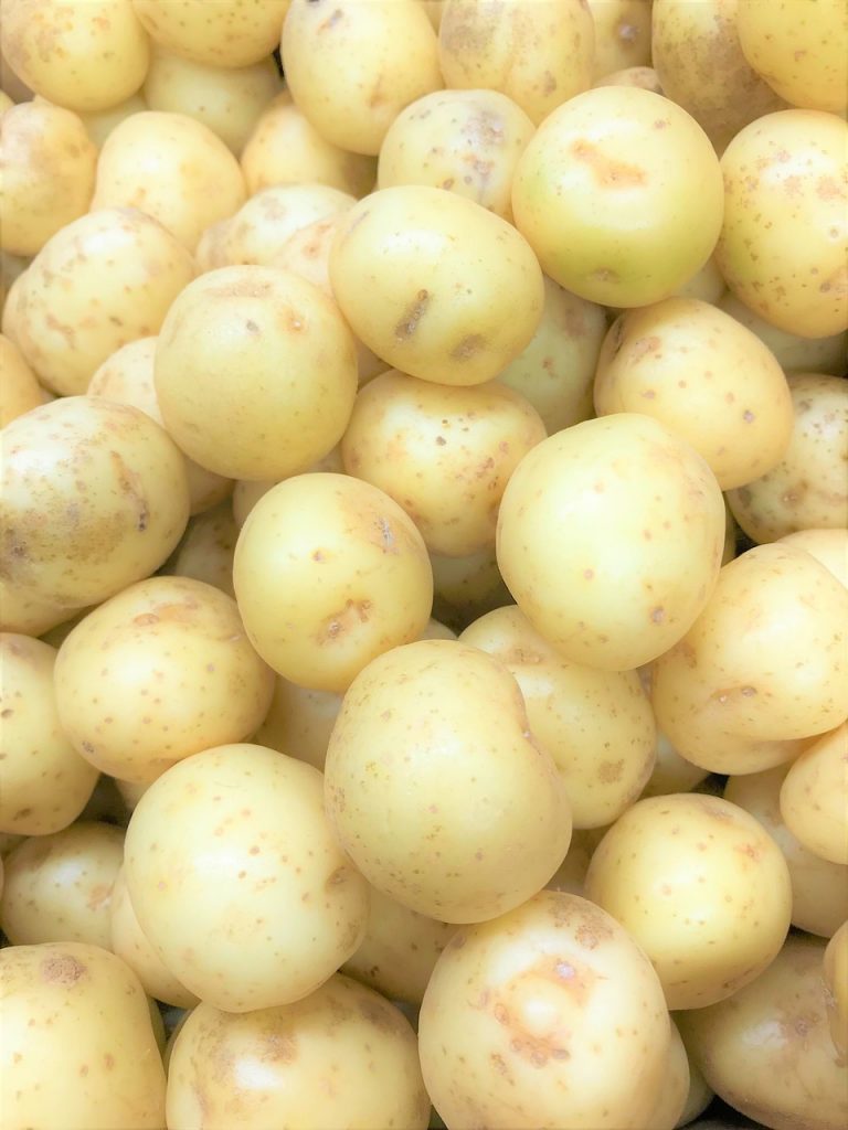 Root Mash