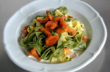 Rotini Pasta With Broccoli Cream Sauce