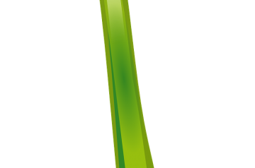 Salad on a Stick