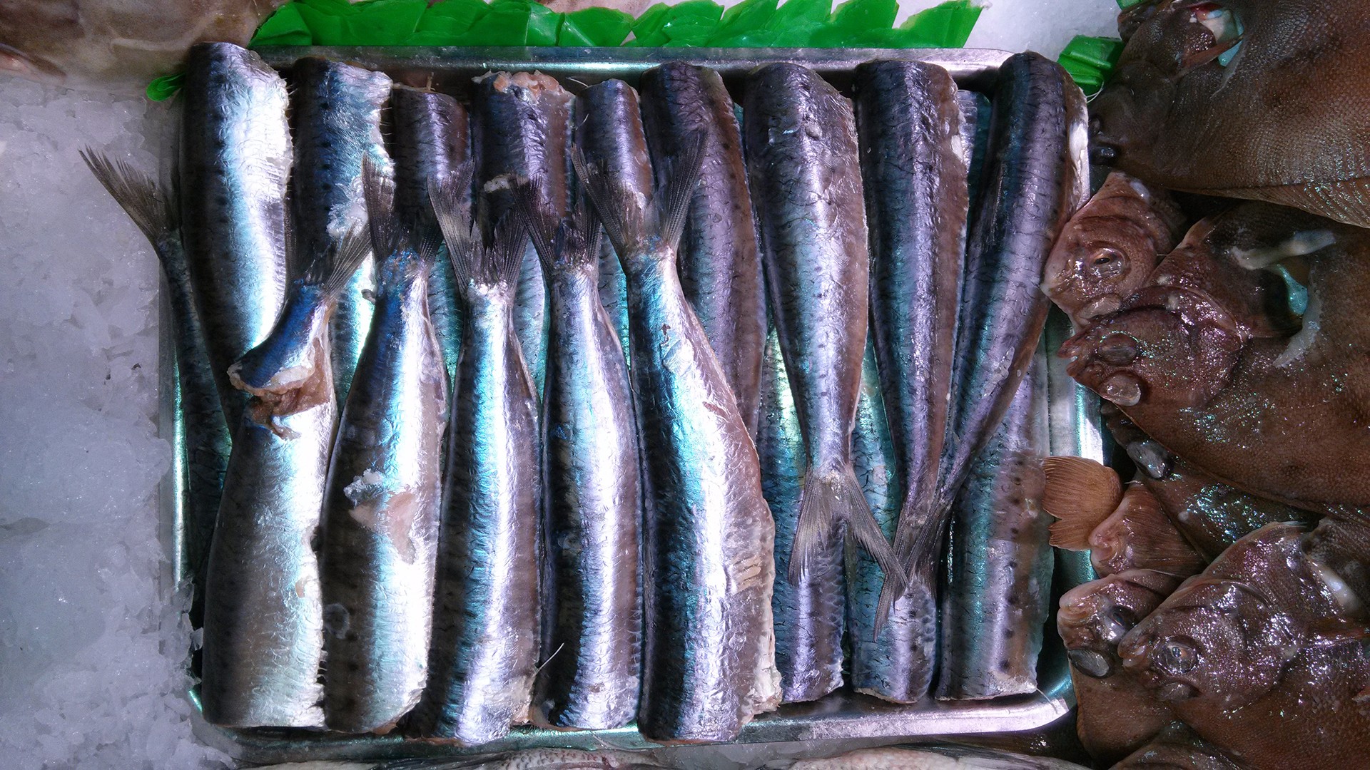 Stuffed Baked Sardines