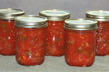Saucy Stewed Burgers