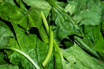 Sauteed Fresh Spinach