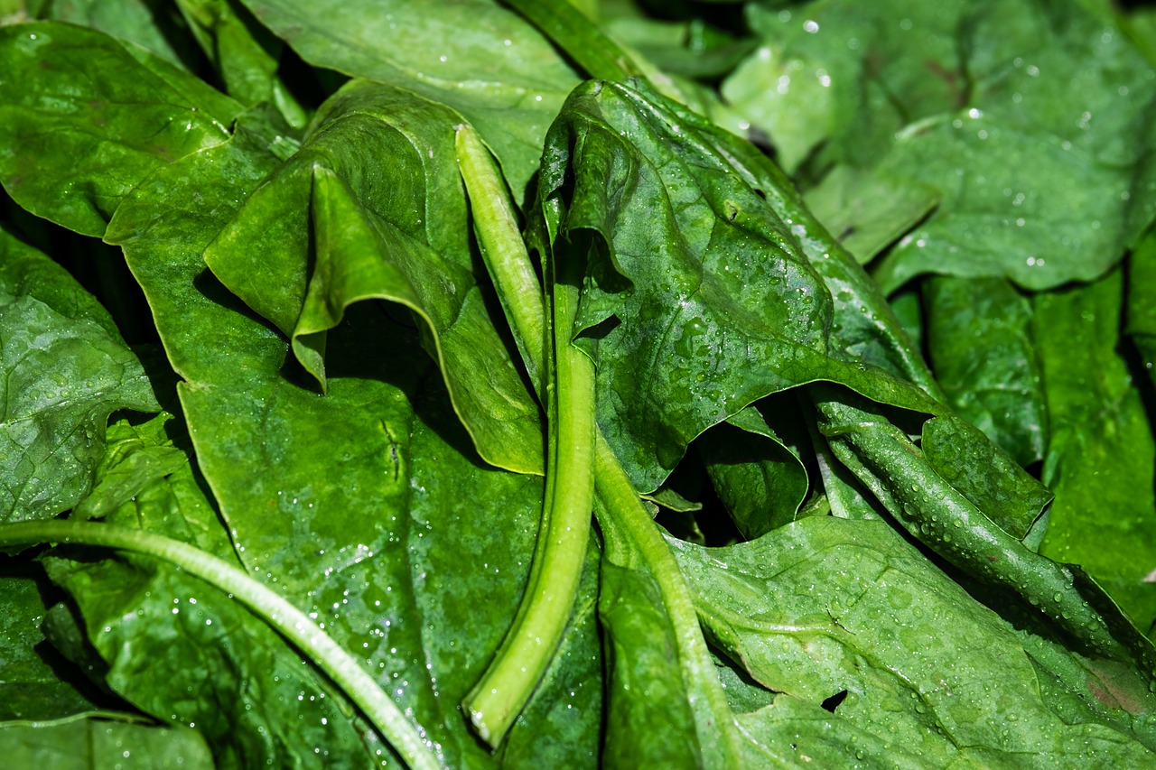 Sauteed Fresh Spinach