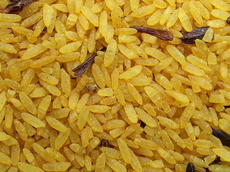 Seasoned Rice