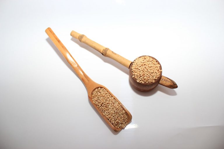 Sesame Pork and Broccoli