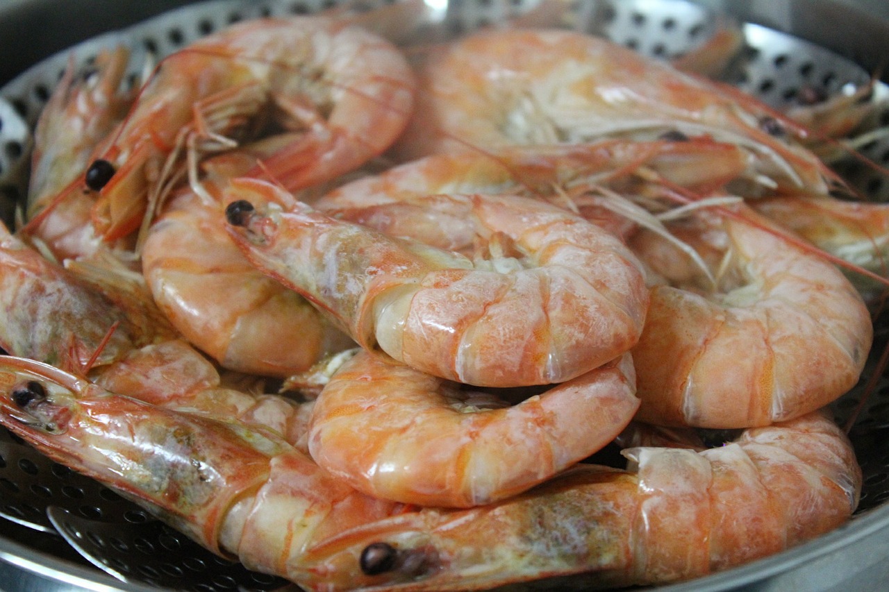 Steamed Shrimp or Shrimp Cocktail