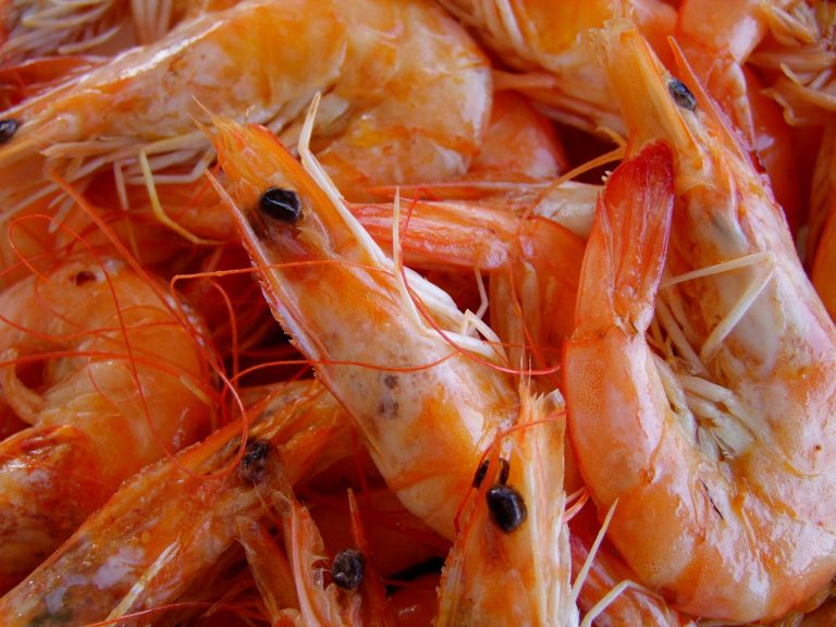 Shrimp Scampi (a lighter version)
