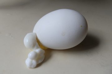 Jolean's " Sick Egg" Recipe
