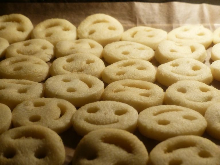 Zippy Oven French Fries