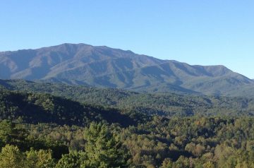 Smoky Mountain Chicken