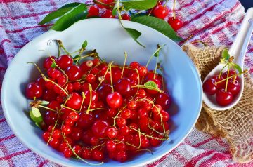 Sour Cream Cherry Pie