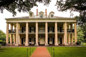 Southern Plantation Lima Beans