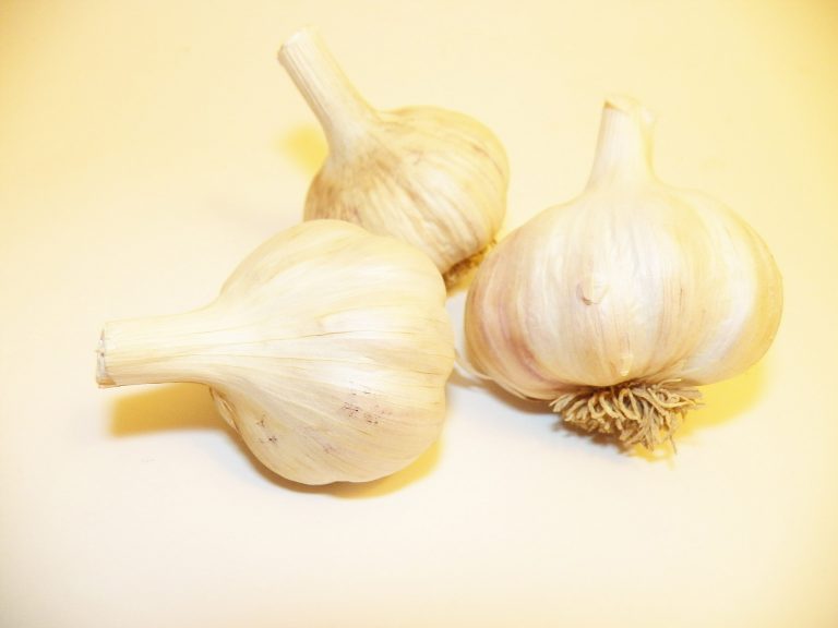 Spaghetti Squash With Onions