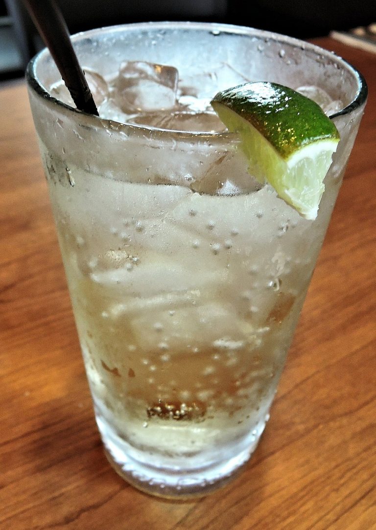 Sparkling Homemade Ginger Ale