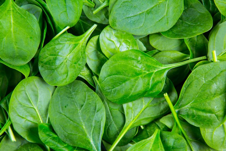 Raspberry Baby Spinach Salad