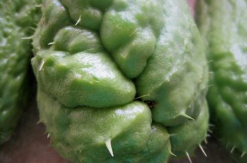 Moo Shu Chicken Wraps