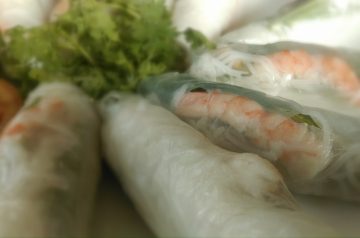 Fresh Vegetable Spring Rolls