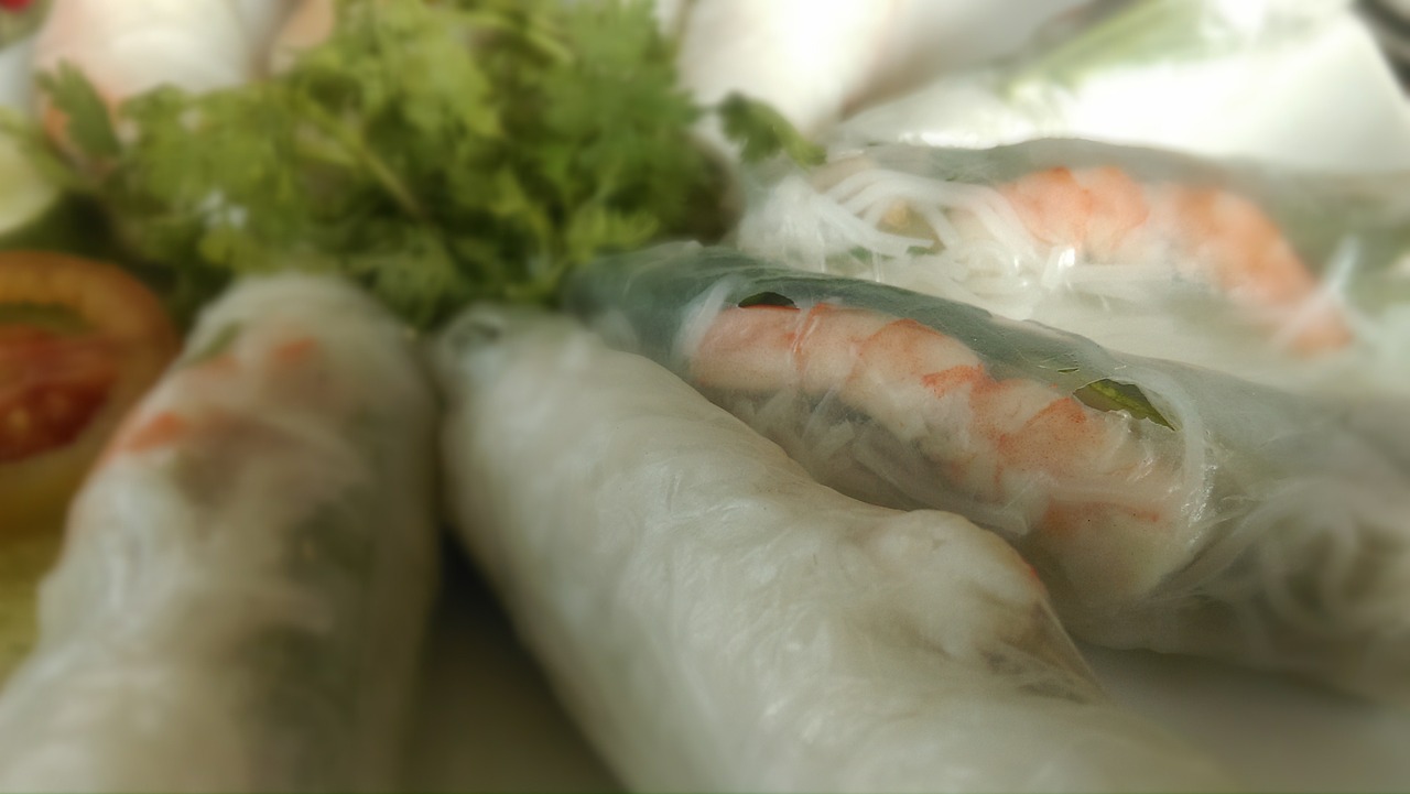 Fresh Vegetable Spring Rolls