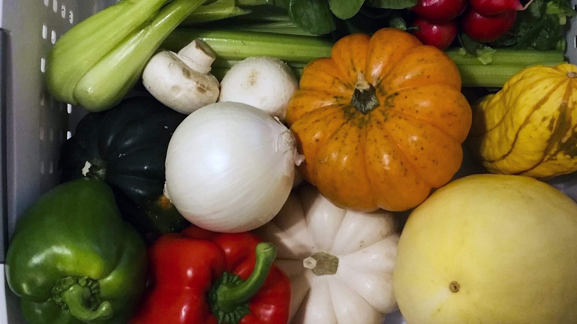 Summer Squash Medley