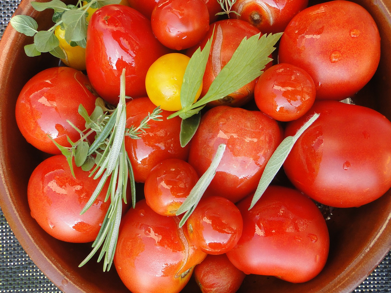 Summer Tomato Sauce